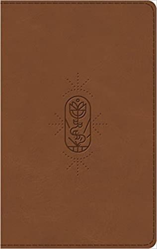 Esv Kids Thinline Bible