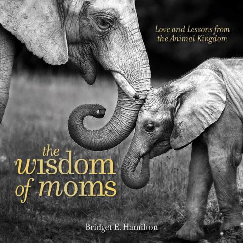 The Wisdom Of Moms