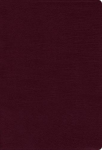 Niv, Thinline Bible, Bonded Leather, Burgundy, Red Letter Ed