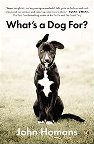What's A Dog For?