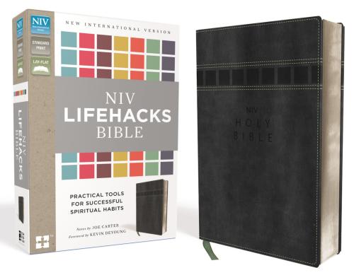 Niv, Lifehacks Bible, Leathersoft, Gray