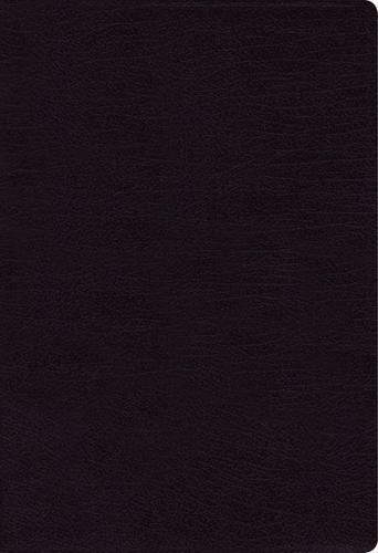 Nkjv, Cultural Backgrounds Study Bible, Bonded Leather, Blac