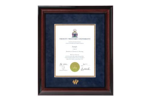 Diploma Frame Executive